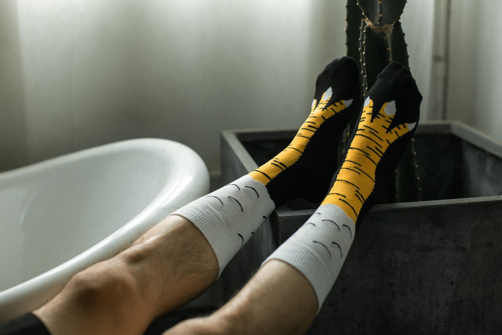 0V7A3136 拷贝 Eagle claw Socks - 图片 3