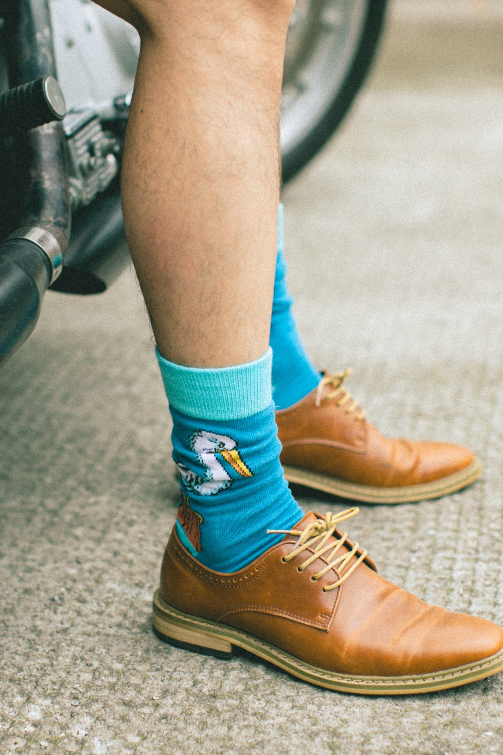 8K5F2294 Pelican Print Socks - 图片 5