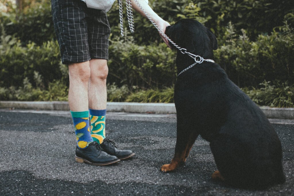 Mismatched Fruit Socks 8k5f3318